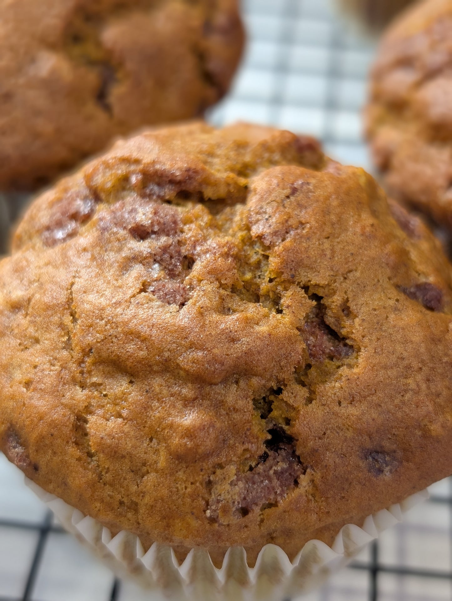 The Harvest Omen - Pumpkin Cinnamon Chip Muffins