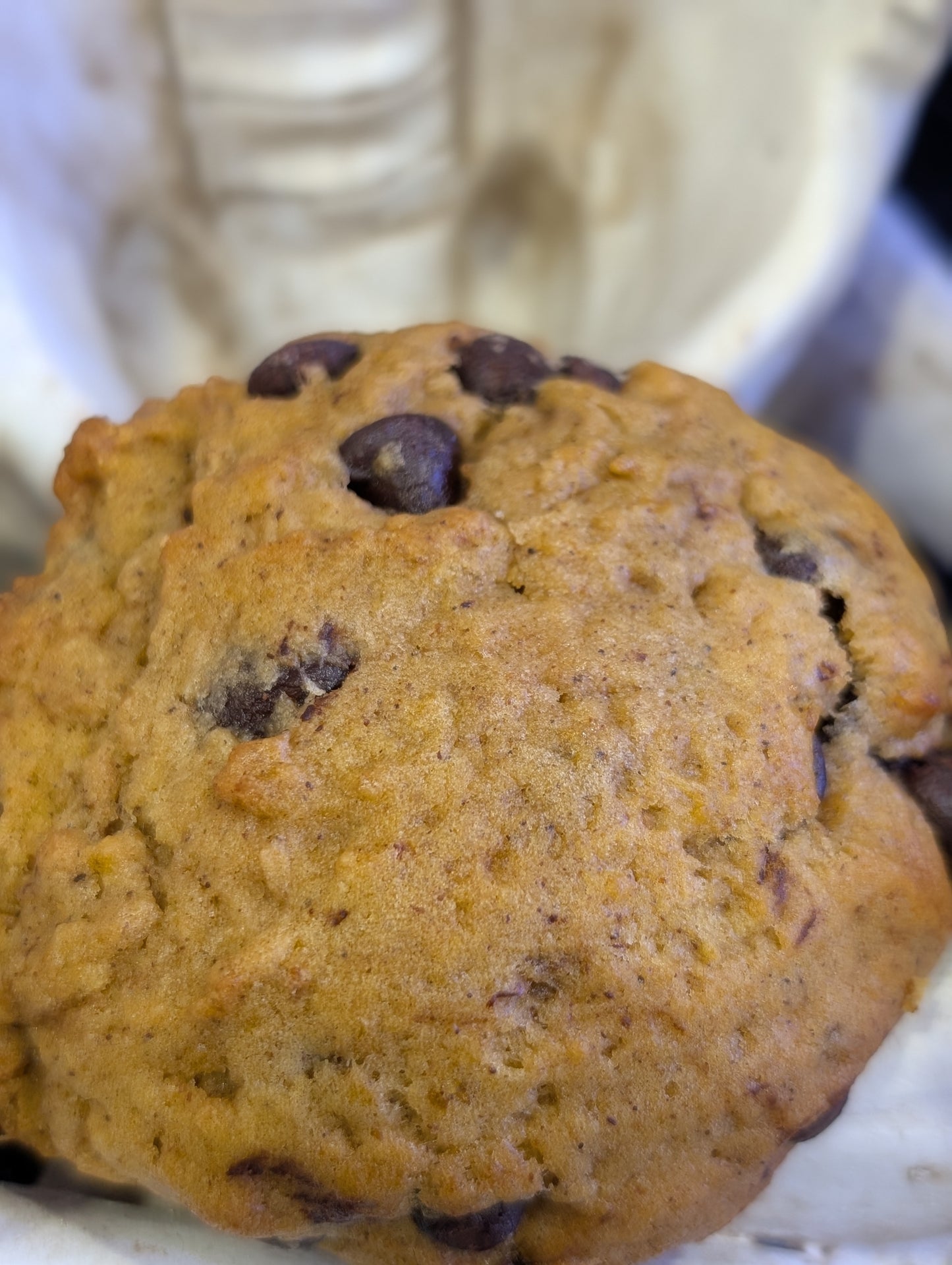 Pumpkin King's Treat - Pumpkin Chocolate Chip Cookie
