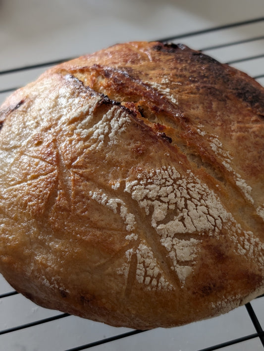 Sourdough Bread