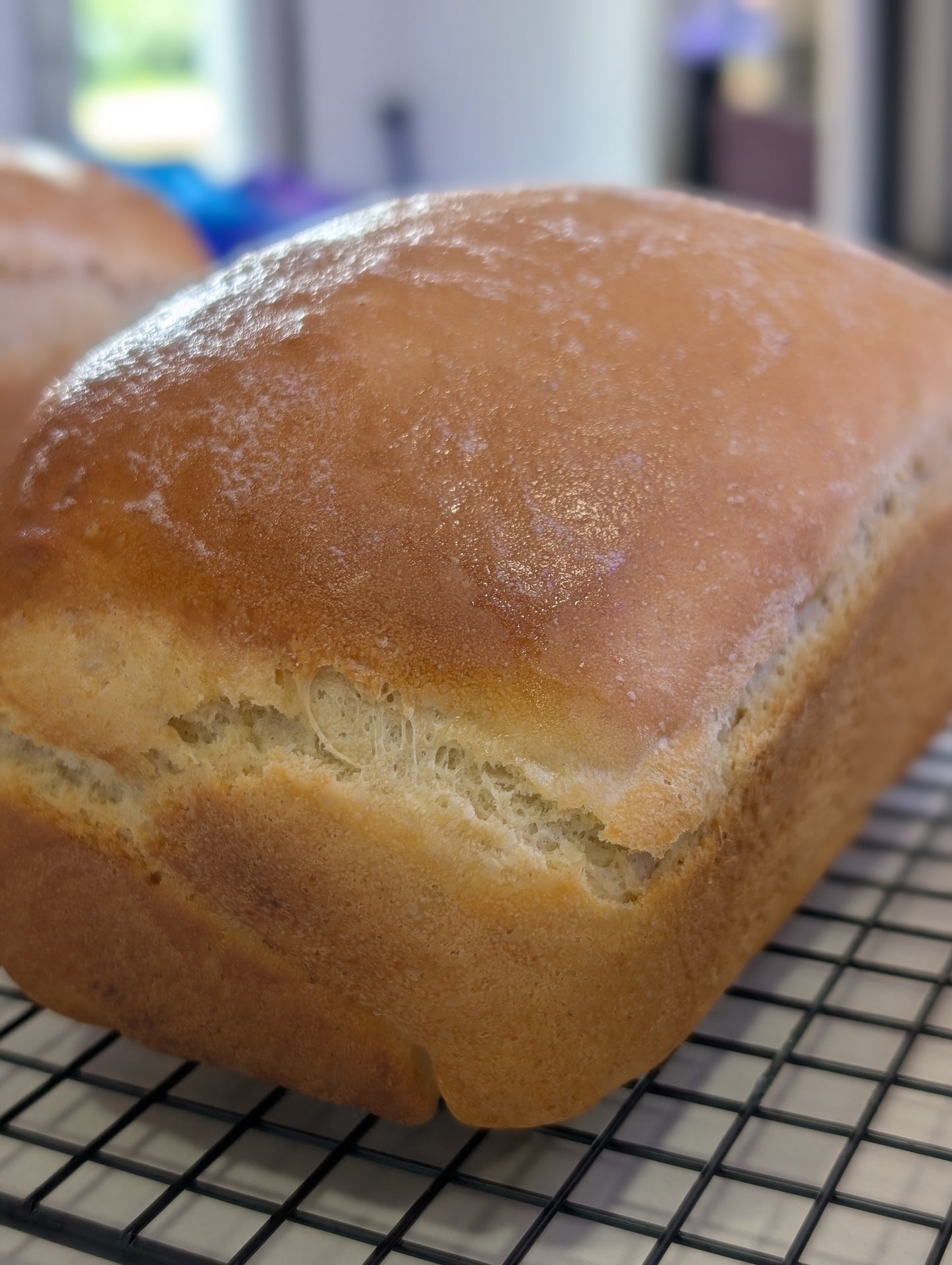 Sandwich Bread