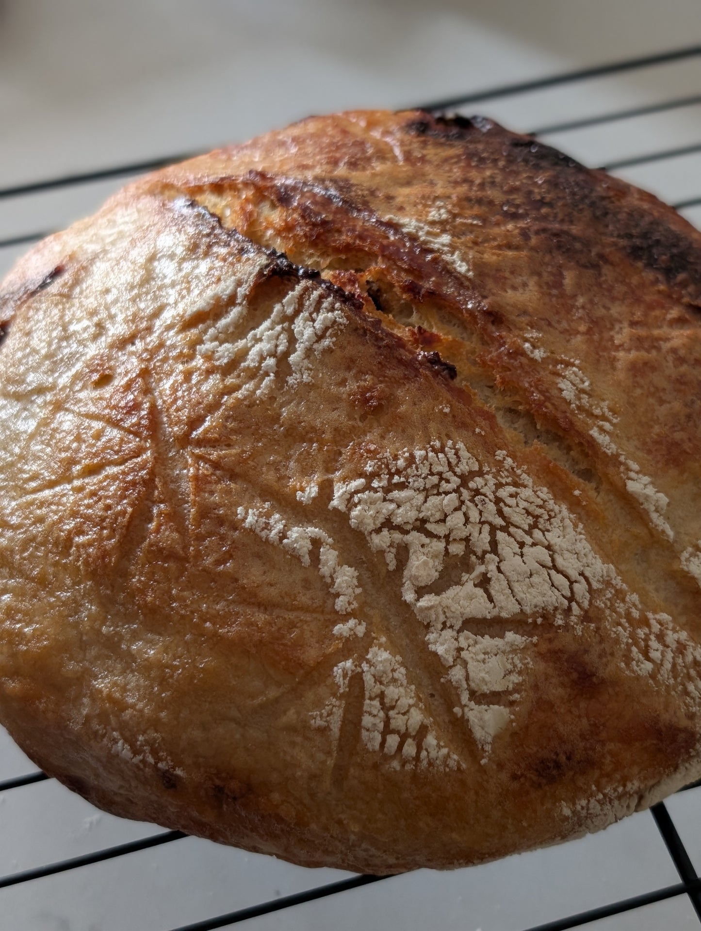 Sourdough Bread